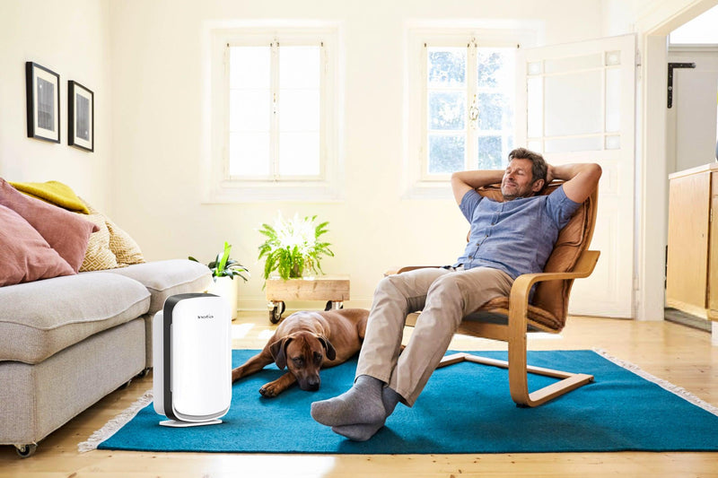 Buying a HEPA Air purifier is the best decision you can make for your family in these COVID times. - Colzer