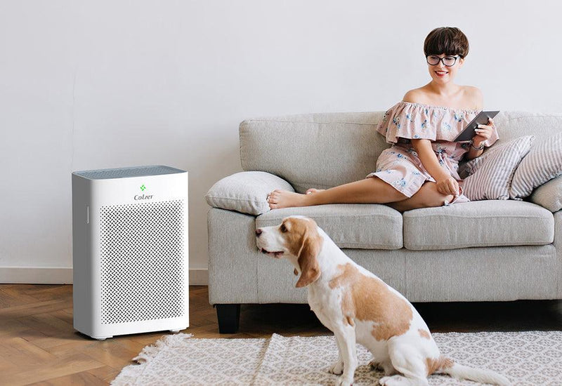 Know how smart buyers are choosing air purifiers for their home - Colzer