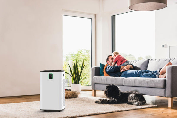 How Investing In An Air Purifier Is As Similar As Investing In Your Health? - Colzer